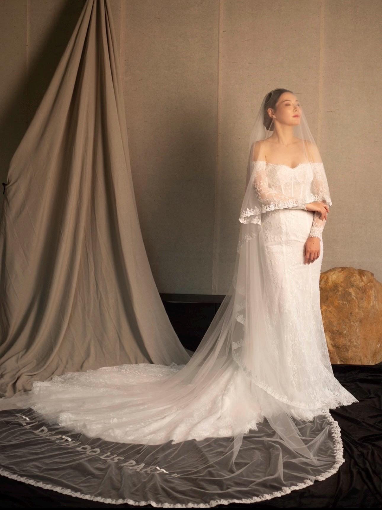 2 Tier Lace Trim Wedding Veil with Hand Embroidery