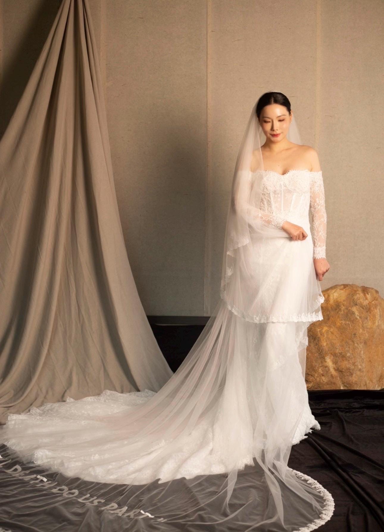 2 Tier Lace Trim Wedding Veil with Hand Embroidery