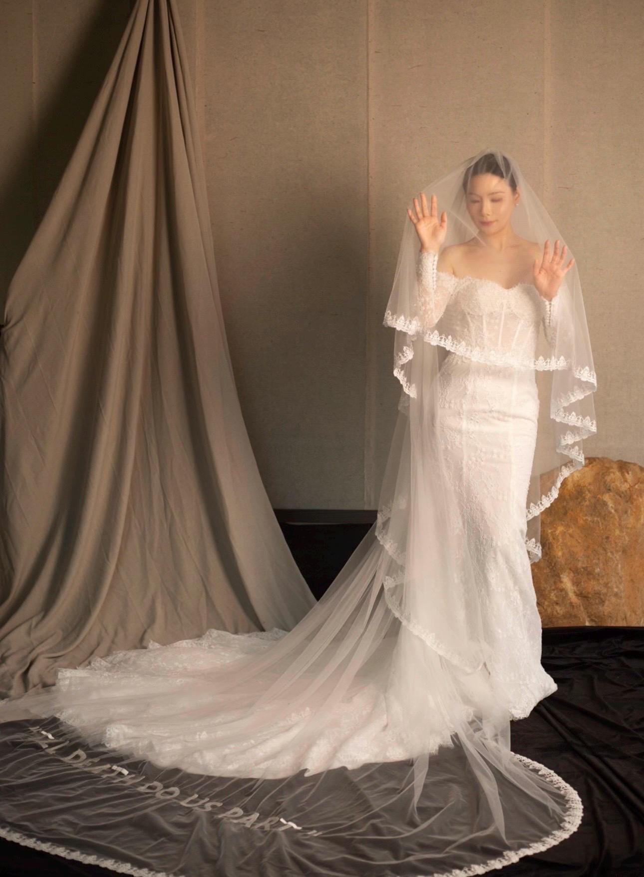 2 Tier Lace Trim Wedding Veil with Hand Embroidery